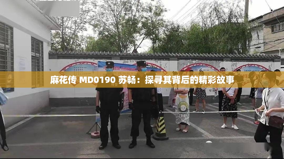 麻花传 MD0190 苏畅：探寻其背后的精彩故事