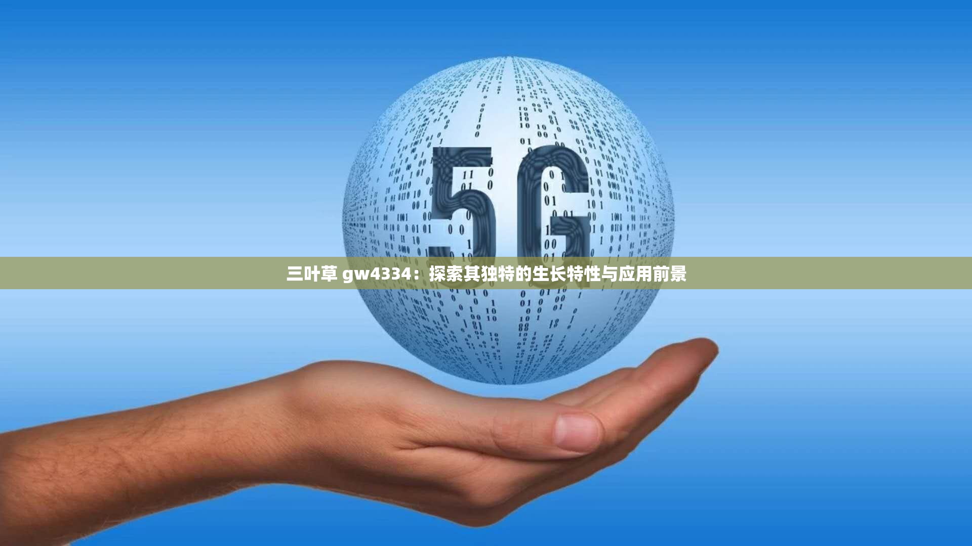 三叶草 gw4334：探索其独特的生长特性与应用前景