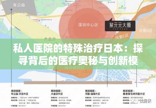 私人医院的特殊治疗日本：探寻背后的医疗奥秘与创新模式