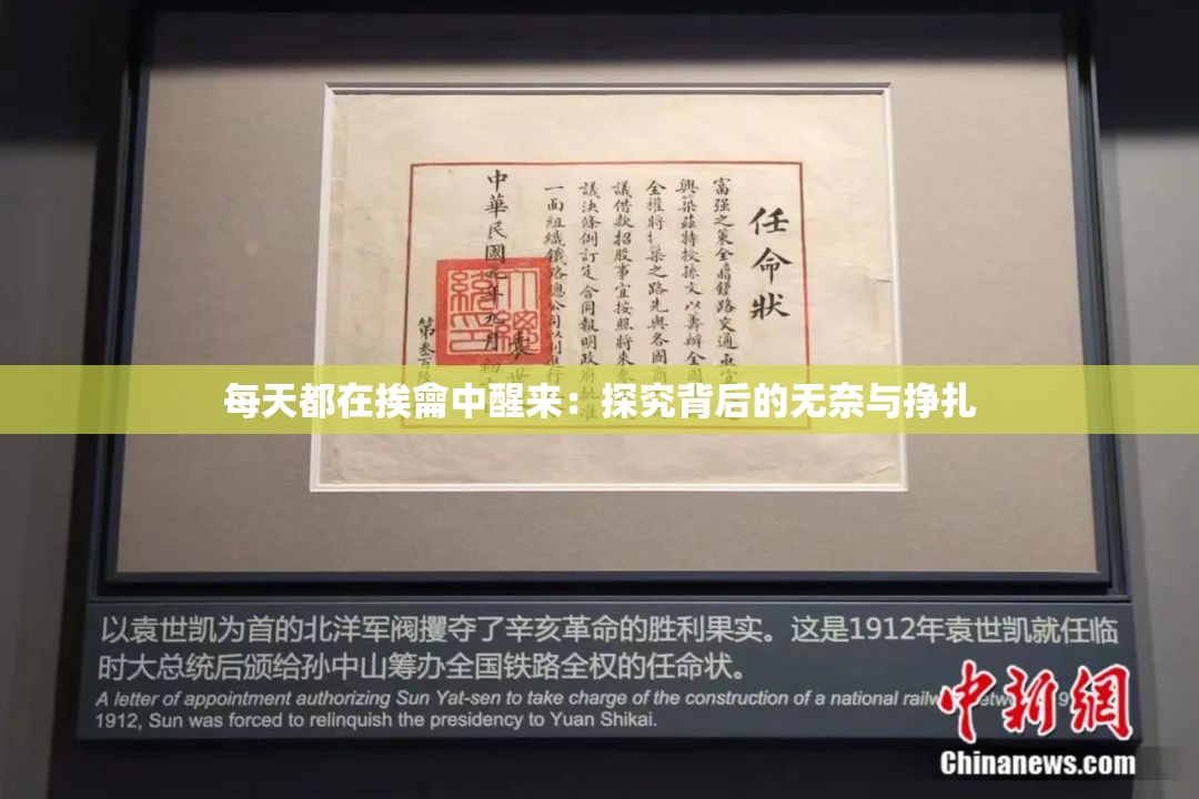 每天都在挨龠中醒来：探究背后的无奈与挣扎