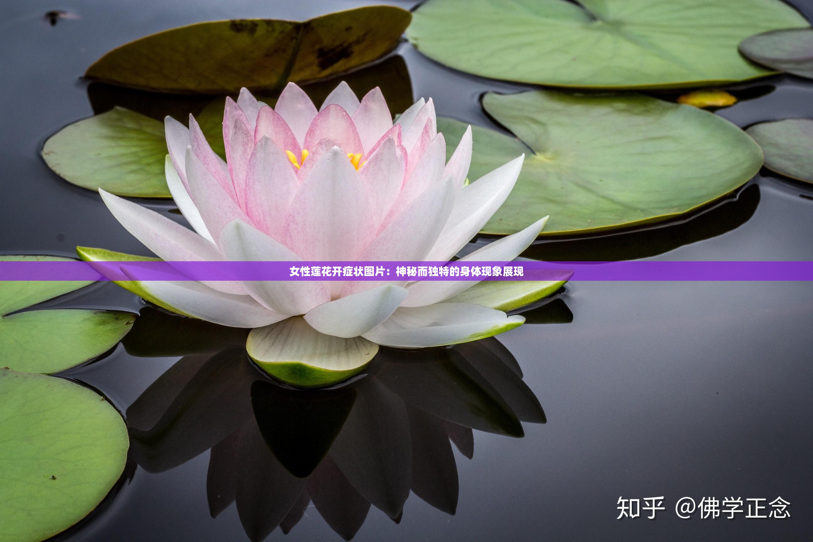 女性莲花开症状图片：神秘而独特的身体现象展现